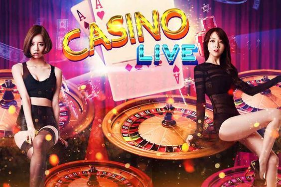 Fortune Rabbit Slot Live Betting